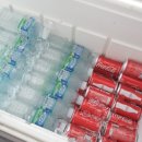 한국체대 석사 더원태권도 이미지