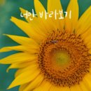 유진자동차병원 이미지