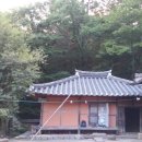 강골민박 Daum카페