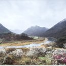 삼척오리마을 이미지