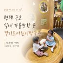 소둥지농장 | 비오는 날 더운 날 평택 근교 실내 가볼만한 곳 | 경기도어린이박물관 (무료운영일, 주차 요금 &amp; 꿀팁...