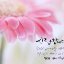 카페마디