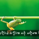 행운이랑대박이랑