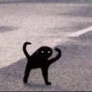 여기꿀템