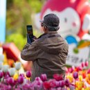 고령택시 노동조합 | 고령택시기사 현실(노후생계, 교통안전, 제도지원)