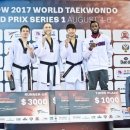 월드태권도 이미지