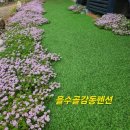 을수골감동 이미지