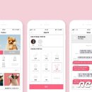 펫닥