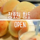 단 샘