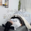 뷰티소울 | 호계동바디관리 안양복부관리 전신돔 온열관리 후기 소울래쉬뷰티