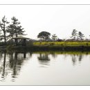 제주의 추억 이미지