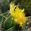 청암공원 이미지