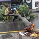 상모리-27 이미지