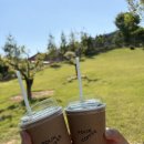 씨유 진천이월진광로점 | [충북 진천] 이월 카페 추천 ☕ 핸드드립 필터커피 맛집 폴린커피 로스팅룸｜애견동반 가능 🐶