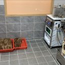 더강한의원 이미지