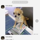 말랑말랑 이미지