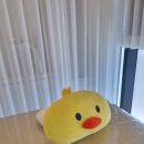 미가인뷰티 대구눈썹&왁싱&속눈썹 이미지