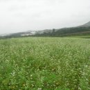 양현농장 이미지