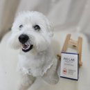 (주)탑 엠에스 | 피오랩 유산균 정성 후기