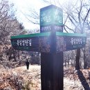 통일사