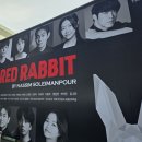 화이트래빗 Daum카페