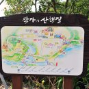 작가의산책길 이미지