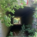 율현경로당 이미지