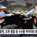 대덕비즈센터공인중개사사무소 이미지