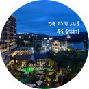 515 | 경주 소노캄 515호 내돈내산 솔직후기✨ 자동커튼 웰컴무드부터 보문호산책, 퇴실 총정리!