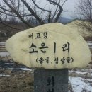 상주소은곶감