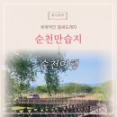 산책 | 순천 힐링여행 필수코스 순천만습지 산책 후기