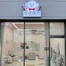 멍발란스 이미지