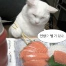 평화반점 | 광주 북구 신안동 30년 노포 중국집, 평화반점 후기