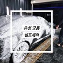 유성 궁동 세차장 &#39;엑스디테일&#39; 와이퍼 현대모비스 차량용 세정제, 셀프 손세차 용품