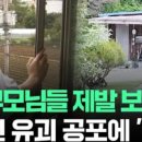 배곧누리유치원 이미지