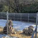 우치공원 이미지