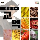 [남미 편] 23번째 시간 : 콜럼버스 교역 이미지