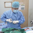 편한을지의원 | 치매 줄기세포 시술 진행했습니다(90세 환자)