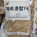 그린 월드 이미지