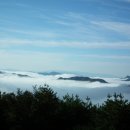 달보드레 이미지