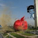 가족장어 이미지