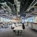 다모행정사 합동사무소 이미지