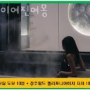 스테이 여진여몽 이미지