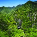 (주)진경 이미지