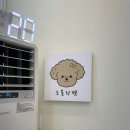 도블리펫 이미지