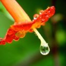 늘푸른꿈 이미지