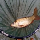 동화낚시터 이미지