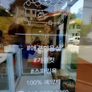 버블리독 이미지