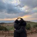 근수목장 | 엄마랑 여행 겨울 제주 2박3일 코스 + 경비 (서귀포 -> 성산)