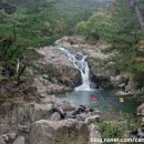 장산억새밭 이미지